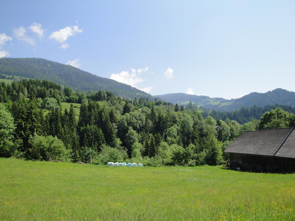 Naturoase Appartements Mirnock Afritz am See Exterior foto